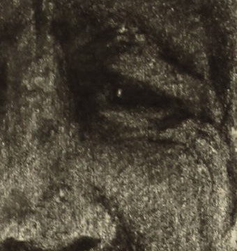 LA SOMBRA QUE RECUERDA