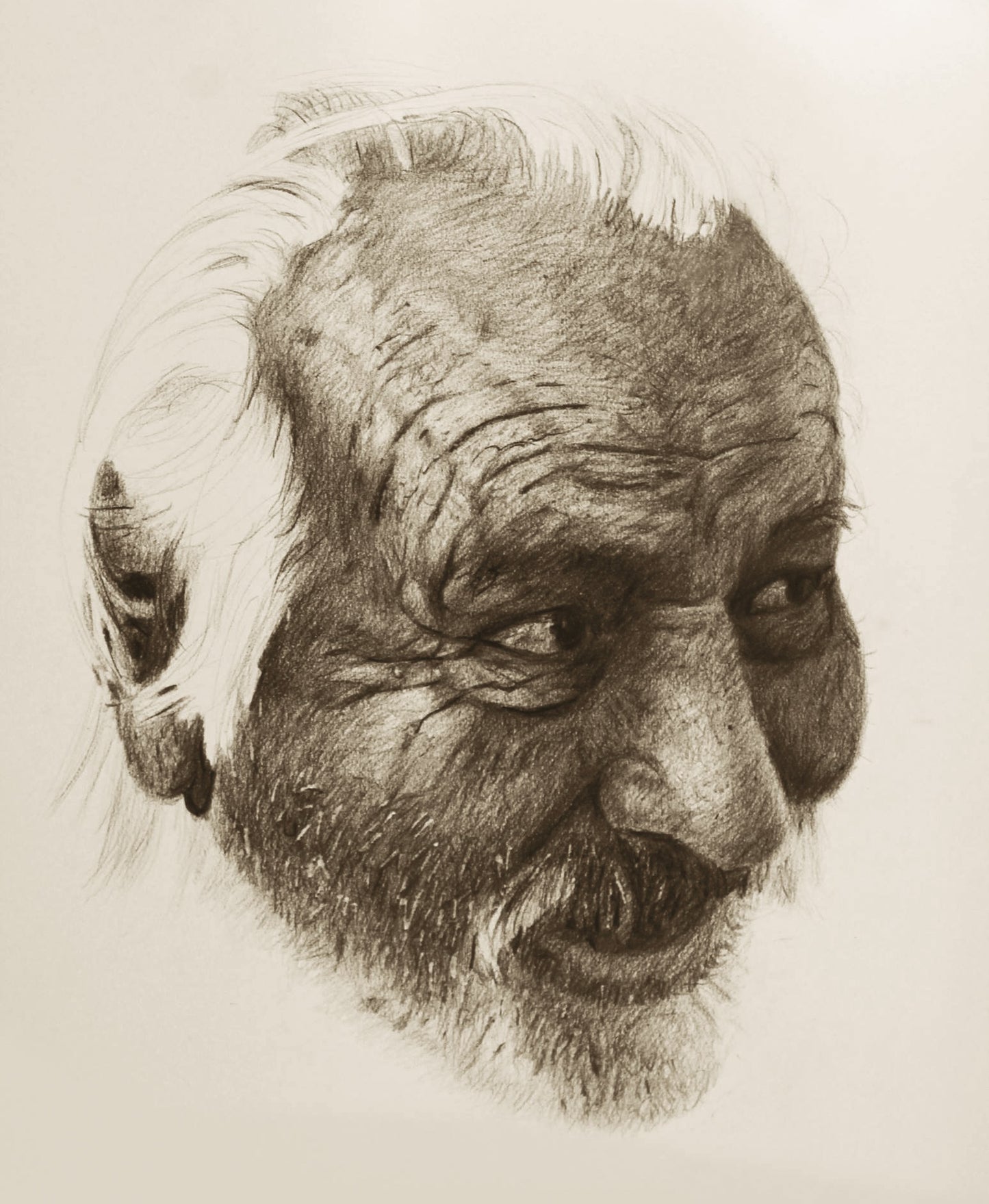 LA SONRISA DEL POLVO