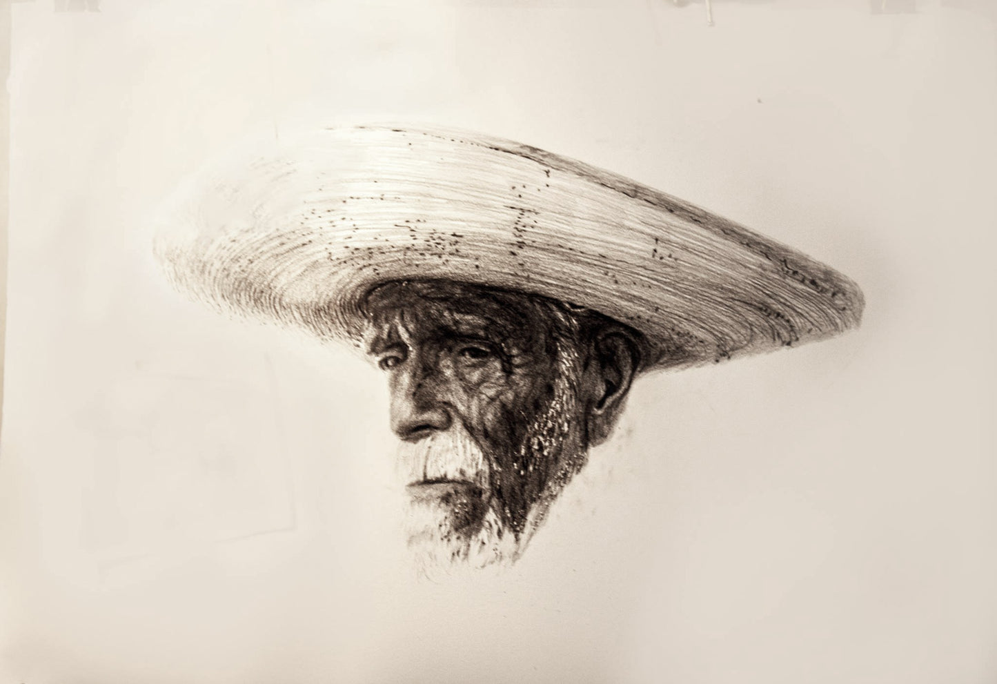 LA RAÍZ DEL CIELO