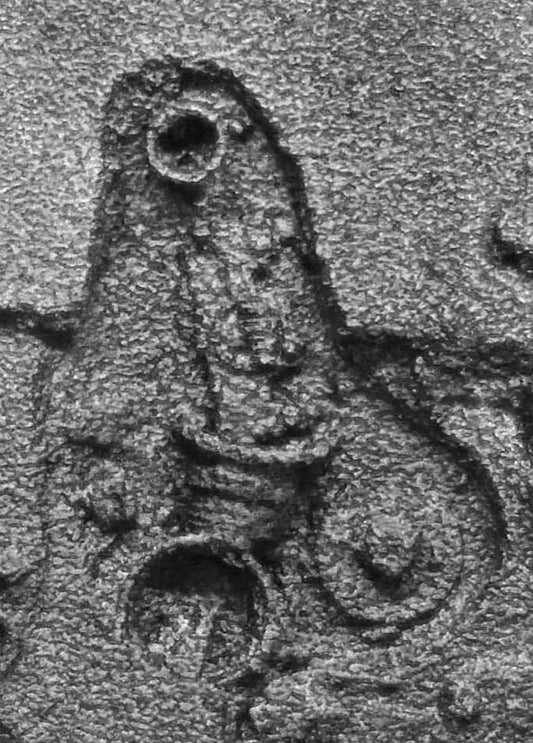 LATIDO FOSSIL